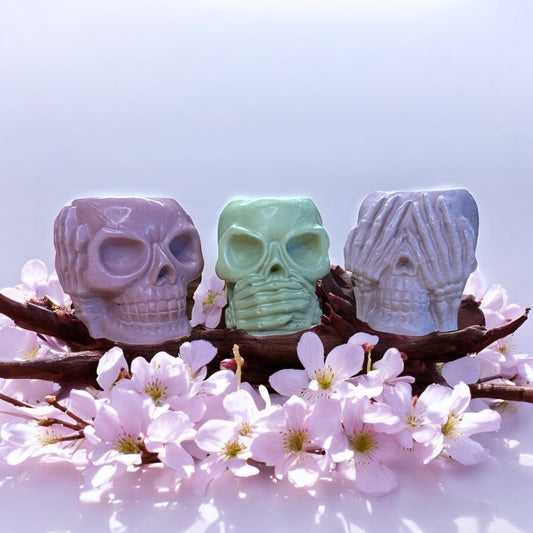 Three Wise Skulls